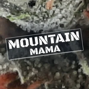 Mountain Mama Cannabis Strain