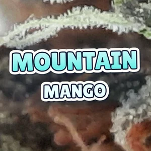 Mountain Mango Cannabis Strain