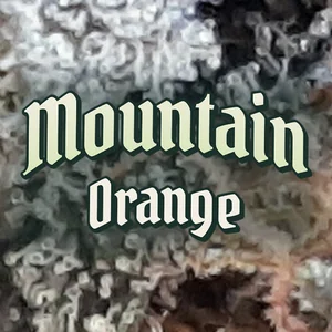 Mountain Orange Cannabis Strain