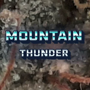 Mountain Thunder Cannabis Strain