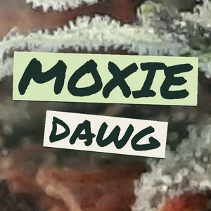 Moxie Dawg Cannabis Strain