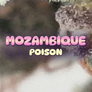Mozambique Poison Cannabis Strain