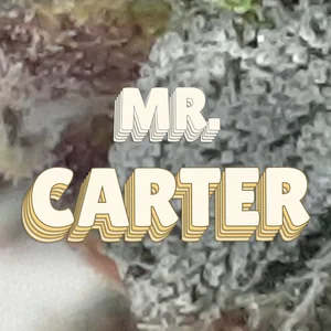 Mr. Carter Cannabis Strain