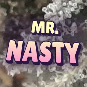 Mr. Nasty Cannabis Strain