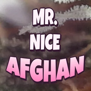 Mr. Nice Afghan Cannabis Strain