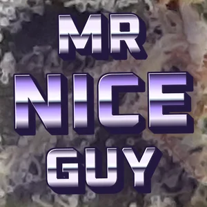 Mr Nice Guy Cannabis Strain