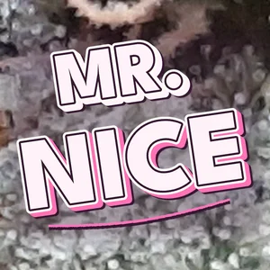 Mr. Nice Cannabis Strain