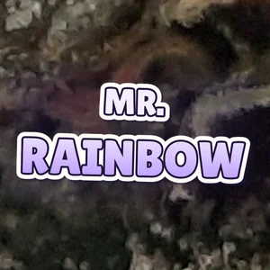 Mr. Rainbow Cannabis Strain