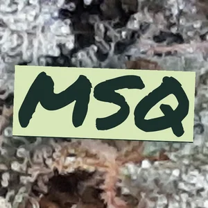 MSQ Cannabis Strain