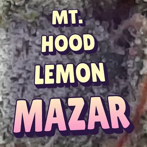 Mt. Hood Lemon Mazar Cannabis Strain