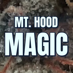 Mt. Hood Magic Cannabis Strain