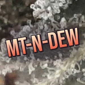 Mt-N-Dew Cannabis Strain
