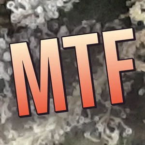 MTF Cannabis Strain
