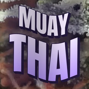 Muay Thai Cannabis Strain