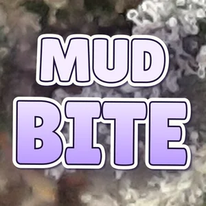 Mud Bite Cannabis Strain