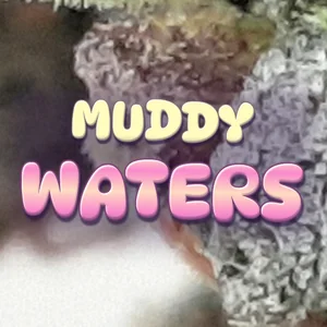 Muddy Waters Cannabis Strain