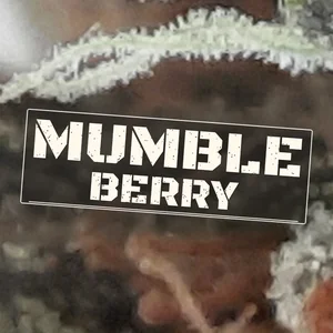 Mumble Berry Cannabis Strain