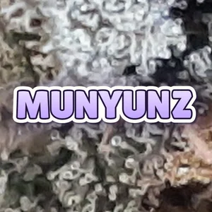 Munyunz Cannabis Strain