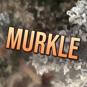 Murkle Cannabis Strain