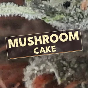 Mushroom Cake Cannabis Strain