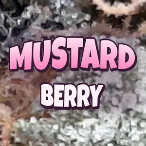 Mustard Berry Cannabis Strain