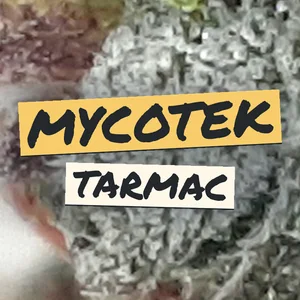 Mycotek Tarmac Cannabis Strain