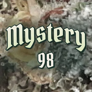 Mystery 98 Cannabis Strain