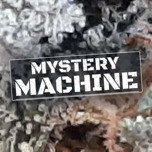 Mystery Machine Cannabis Strain