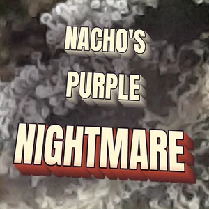 Nacho's Purple Nightmare Cannabis Strain