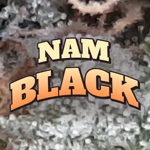 Nam Black Cannabis Strain