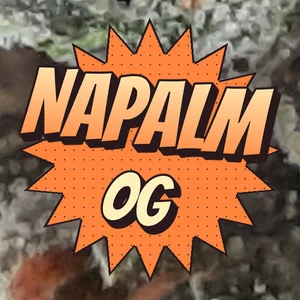 Napalm OG Cannabis Strain