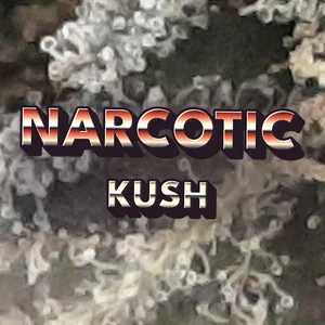 Narcotic Kush Cannabis Strain