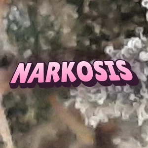 Narkosis Cannabis Strain