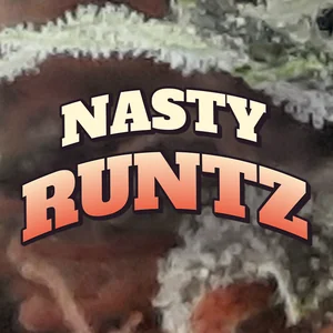 Nasty Runtz Cannabis Strain