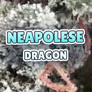 Neapolese Dragon Cannabis Strain