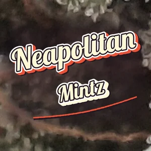 Neapolitan Mintz Cannabis Strain