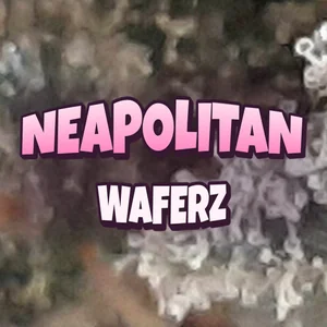 Neapolitan Waferz Cannabis Strain
