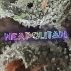 Neapolitan Cannabis Strain
