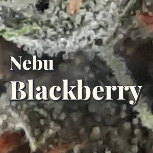 Nebu Blackberry Cannabis Strain