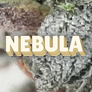 Nebula Cannabis Strain