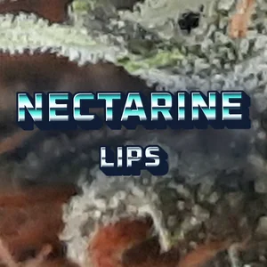 Nectarine Lips Cannabis Strain