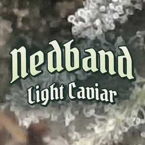 Nedband Light Caviar Cannabis Strain