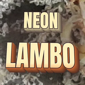 Neon Lambo Cannabis Strain