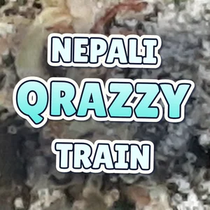 Nepali Qrazzy Train Cannabis Strain