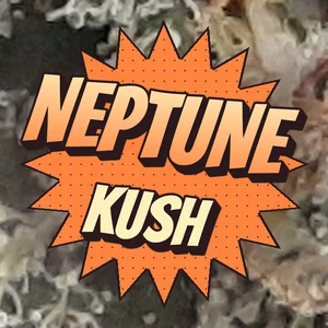 Neptune Kush Cannabis Strain