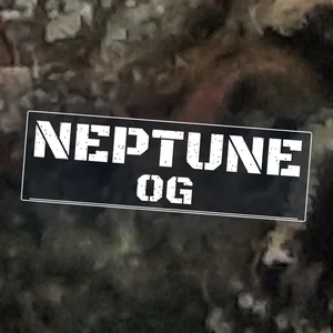 Neptune OG Cannabis Strain