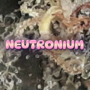 Neutronium Cannabis Strain