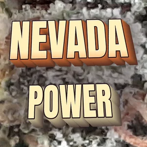Nevada Power Cannabis Strain