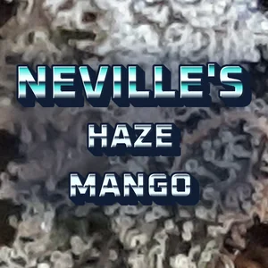 Neville's Haze Mango Cannabis Strain