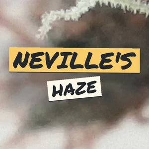 Neville's Haze Cannabis Strain